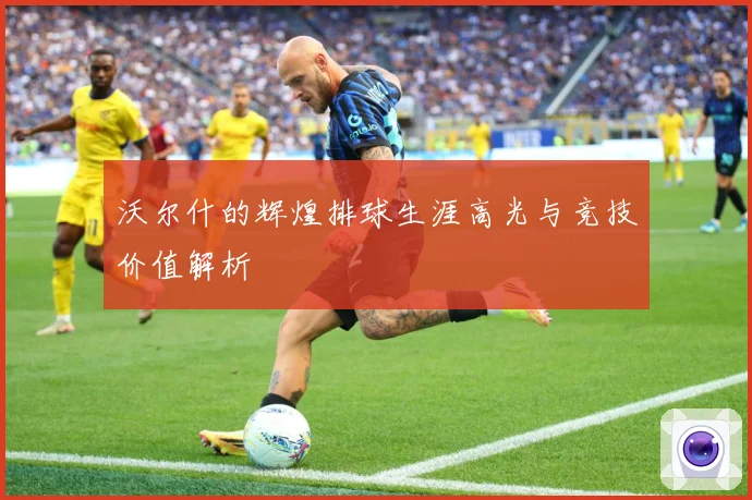 沃尔什的辉煌排球生涯高光与竞技价值解析
