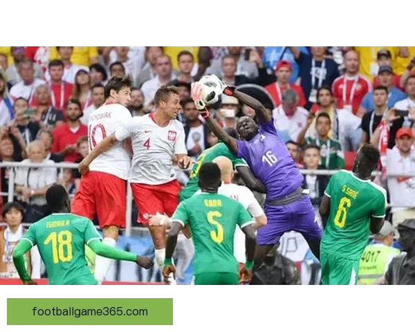 世界杯买球投注技巧解析与赛果精准预测指南分享